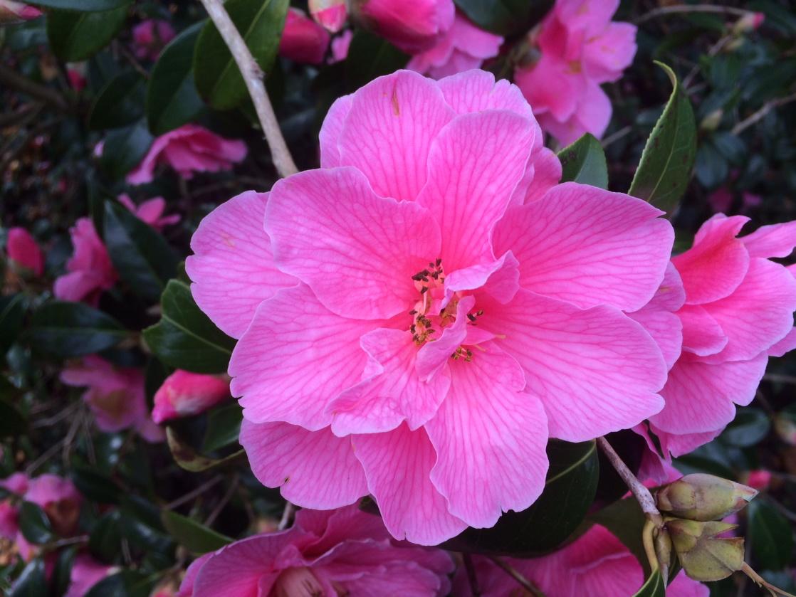 Team Manager (@garethbsm) on Twitter photo 