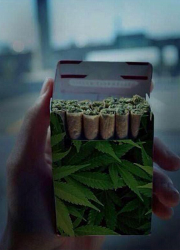 420cali's tweet photo. Awesome #420 RT @ThaStonerNation I could go for a pack of these. http://t.co/sk1O8Uefgp http://t.co/eHHotKuBb6