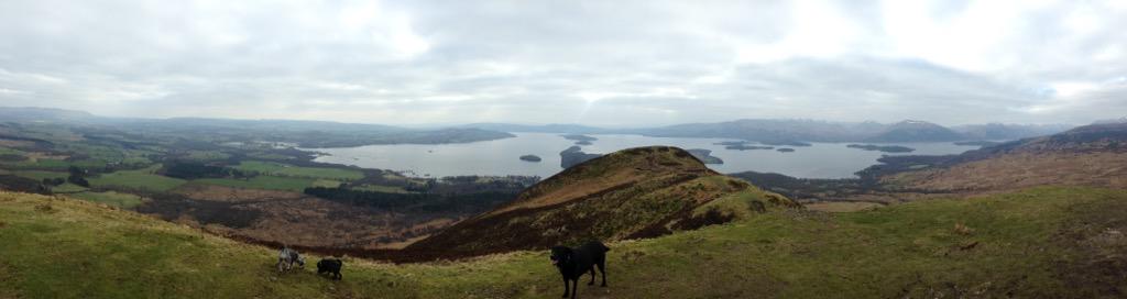 At top on Conic Hill at Balmaha yesterday looking down on to Loch Lomond. #loveScotlandscenery @scotlandscenes