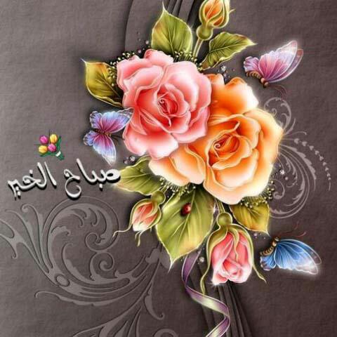 حٍگــآيَةّ ۆردِةّ ّ (@omanii2002) on Twitter photo 