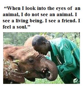 Protect_Wldlife's tweet photo. TRUE! #KillTheTrade http://t.co/InnnMimsV3