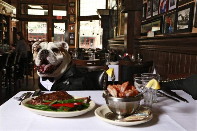 ButlerBlue3's tweet photo. So the Longhorns, eh? Well, I do love a good steak! #MarchMadness #GoDawgs http://t.co/xukCc03gaY
