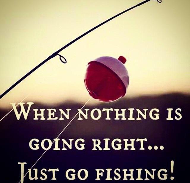 OutdoorObsessor's tweet photo. Just go fishing 🎣👌 http://t.co/k4eN0JGhm3