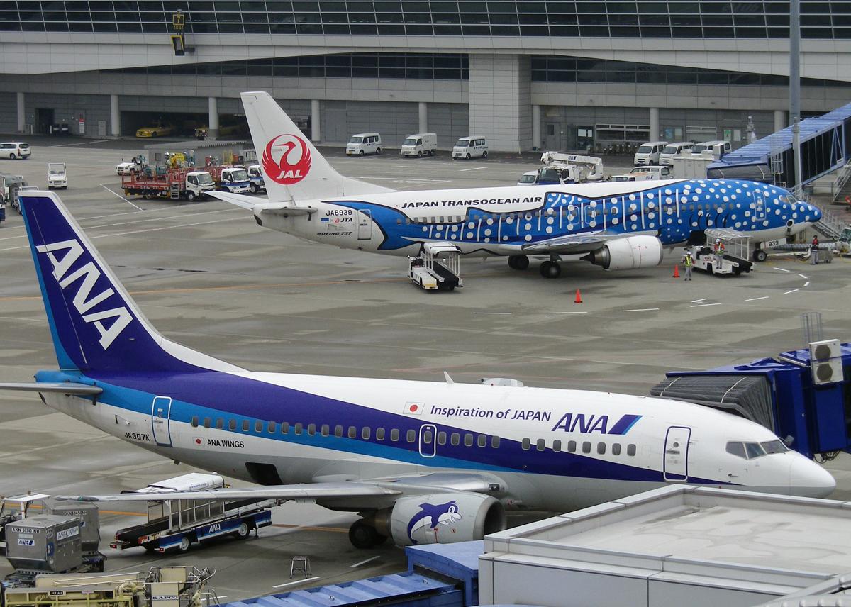 中部国際空港セントレア イルカとジンベエが並びました ドルフィンジェットのイラストはかなりキュートなイルカ好きです かわいさに癒されます Http T Co X6twe2fvlk