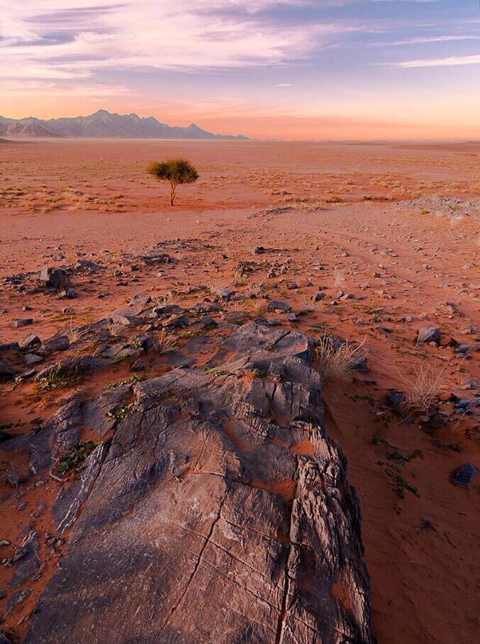 bandar_alamro's tweet photo. الغياب .. الحنين .. الفقد 
كلها معاني موجعة ..
صورة لها ألف خاطر ..
تتلون حسب حجم المعاناة .. http://t.co/6GO47WLwBV