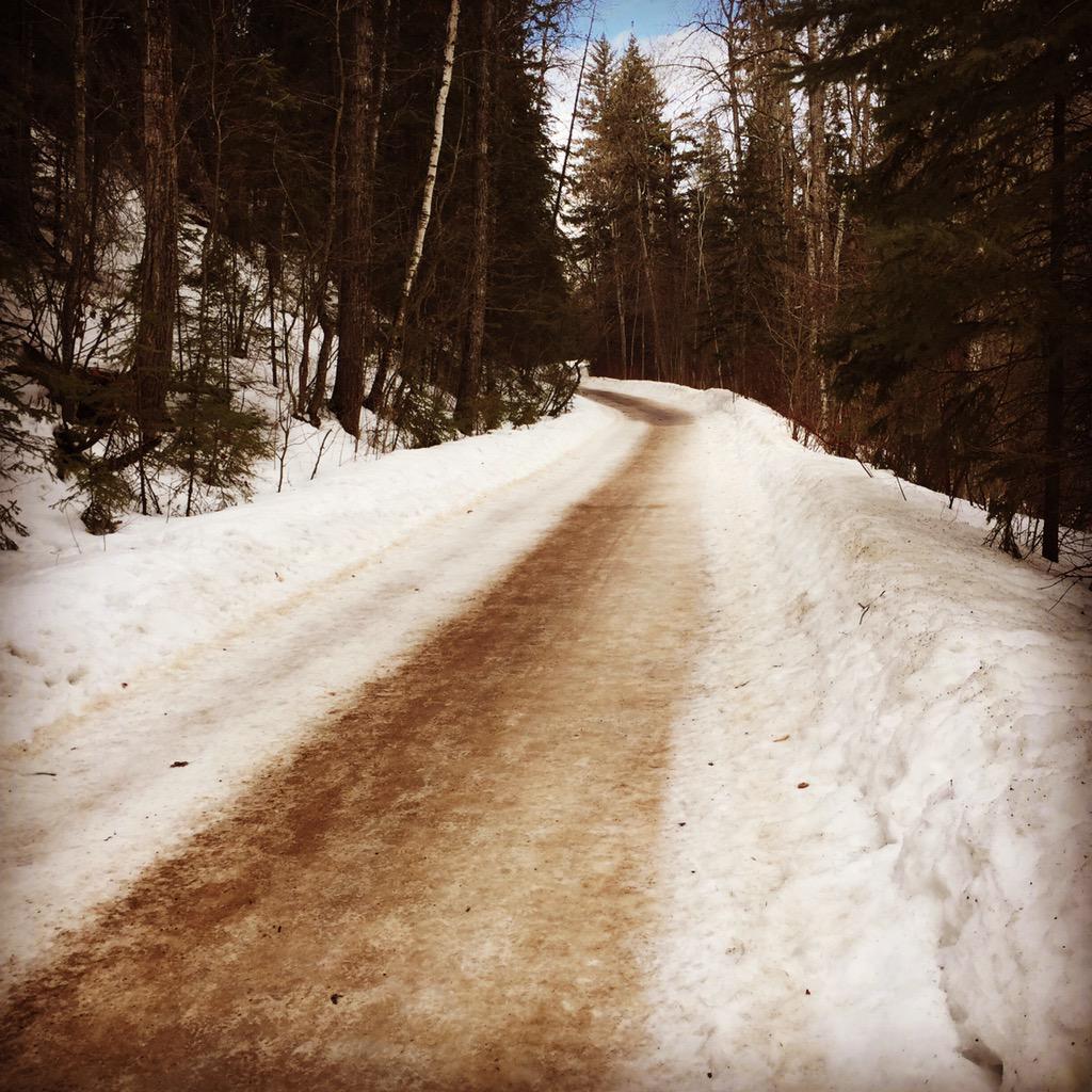 vi_cano's tweet image. 