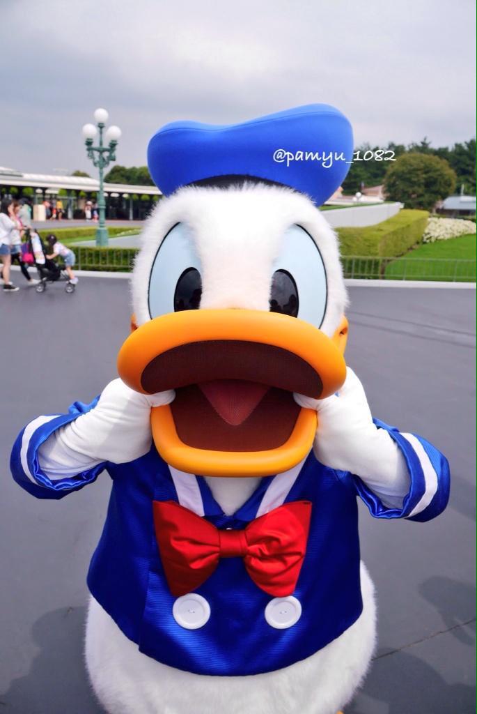 pamyu_1082's tweet photo. ドナちゃん大好きです😊💓
気になったかた
フォローします✨✨✨

 #twitter上にいるDヲタ全員と繋がるのが密かな夢だったりするのでとりあえずこれを見たDヲタはrtもしくはフォローしていただけると全力でフォローします http://t.co/rZzKSPiRl3