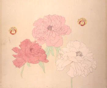 山種美術館 в X: „速水御舟《牡丹（写生）》（山種美術館）。当館では