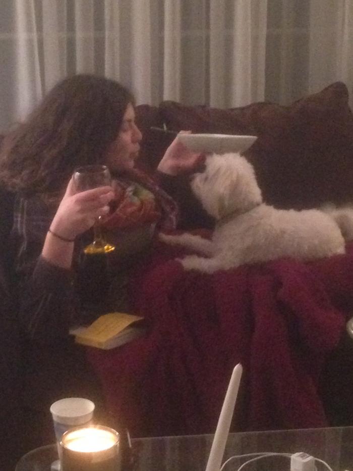 Seabird212's tweet photo. @chlosiegel happy place: food, wine and dog http://t.co/ZztwyB1WJR