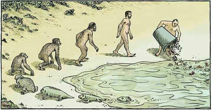Ecogranjero's tweet photo. El circulo de la evolucion http://t.co/kkdbU19Lwf