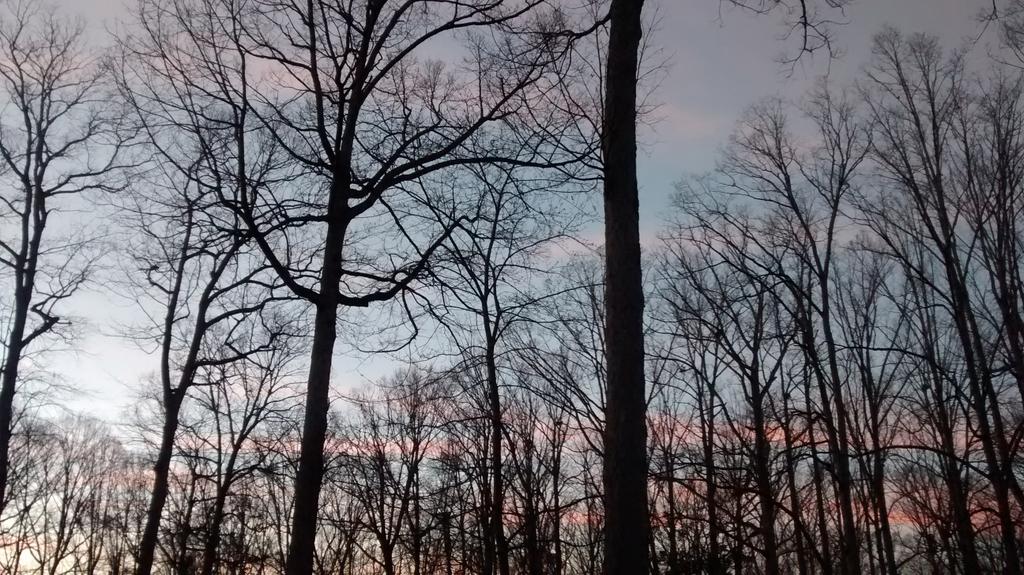 AbtAndSC's tweet photo. Dusk. http://t.co/UGst1gb69D