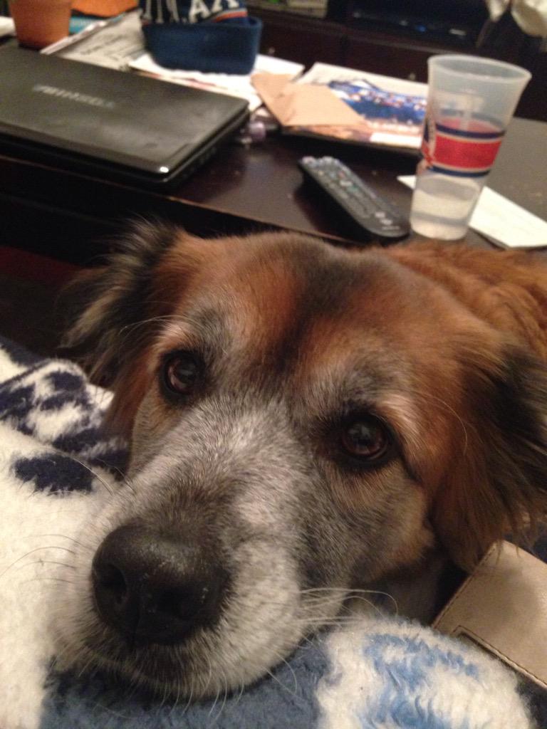 mag_tini's tweet photo. Johnny's away. Movies on tap for tonight - bridesmaids ✔️ sleepless in Seattle- #girlsnight #ladybooger http://t.co/Gt36UgHGcn