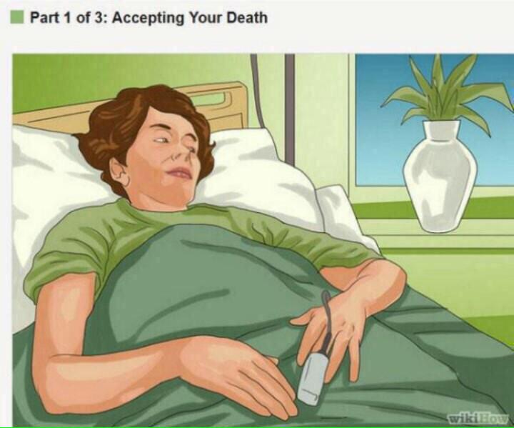 • (@elizabethmonet) on Twitter photo 