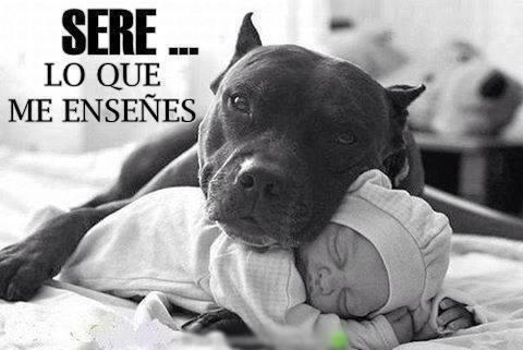 Ruben110099's tweet photo. http://t.co/T6O7kTe3rY