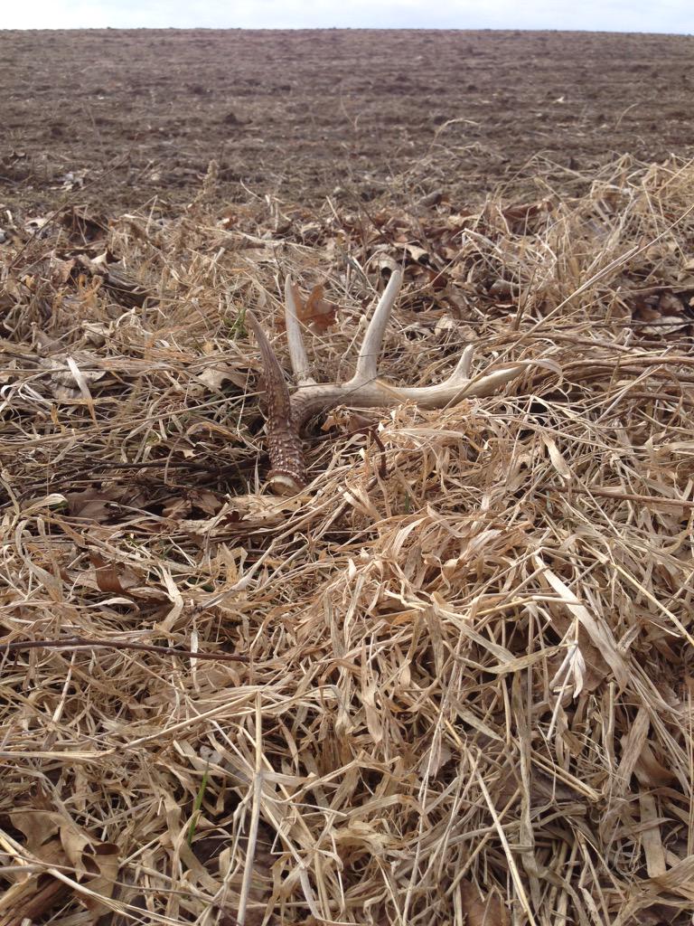 Great weekend to get outside and enjoy the weather. Anybody else have some luck? #ShedRally