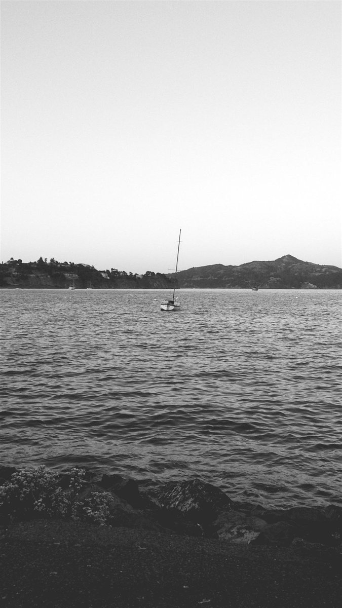 LightBoxr tweet media