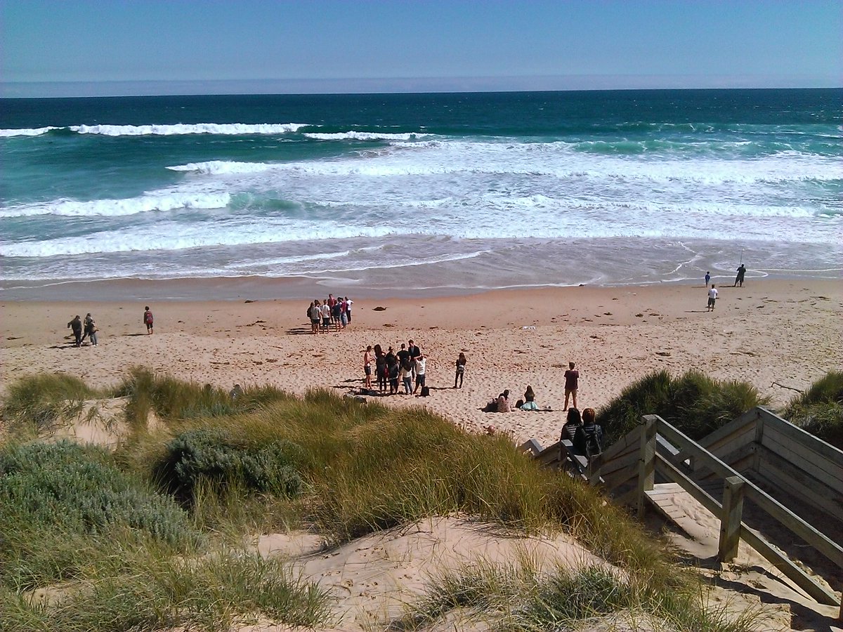 GaiaBessone's tweet photo. Amazing #trip to Maru Park and Phillip Island with #RMIT #RMITtripsandtours :) #exploRMIT #exchangestudent #Australia http://t.co/WuKuwoO2pk