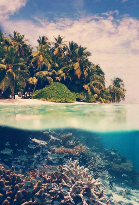 Global_Pix's tweet photo. Costa Rica 🌴 http://t.co/gs4BszrIHC