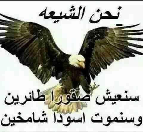 حب علي جنه (@salahabdalah17) on Twitter photo 