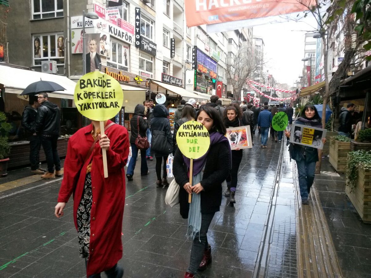 kuzeyormanlari's tweet photo. Yaşam savunucuları Azerbaycan’daki köpek katliamını İst,Ankara&amp;İzmir'de protestoetti
http://t.co/VyF4XRo75k
#Baku2015 http://t.co/GSHu7yOmh7