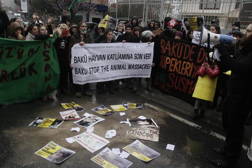 kuzeyormanlari's tweet photo. Yaşam savunucuları Azerbaycan’daki köpek katliamını İst,Ankara&amp;İzmir'de protestoetti
http://t.co/VyF4XRo75k
#Baku2015 http://t.co/GSHu7yOmh7