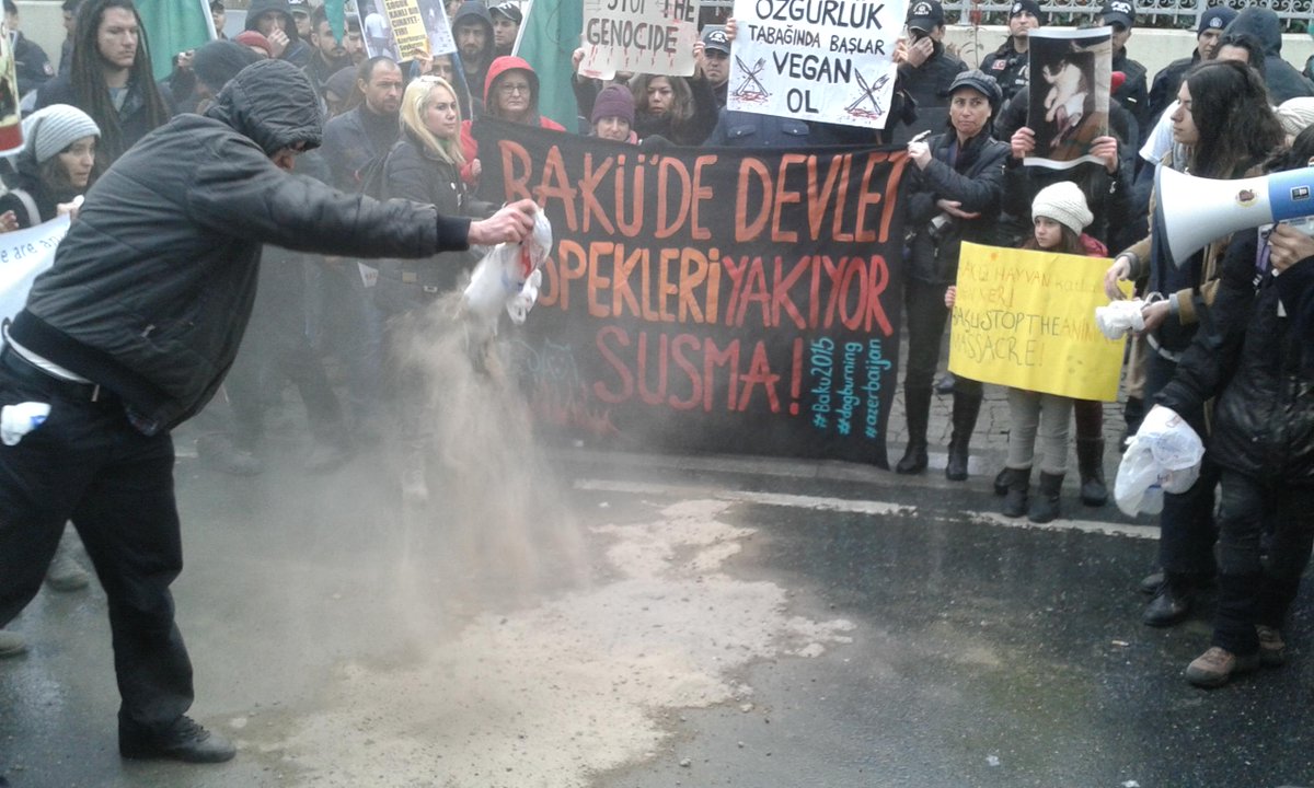 kuzeyormanlari's tweet photo. Yaşam savunucuları Azerbaycan’daki köpek katliamını İst,Ankara&amp;İzmir'de protestoetti
http://t.co/VyF4XRo75k
#Baku2015 http://t.co/GSHu7yOmh7