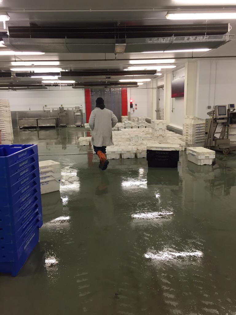 Tom Shepherd tweet media