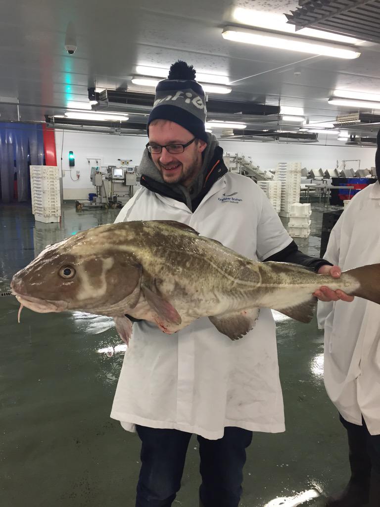 Tom Shepherd tweet media