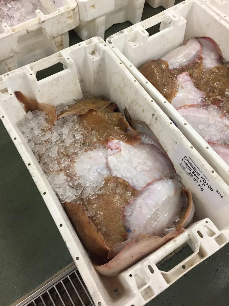 Tom Shepherd tweet media