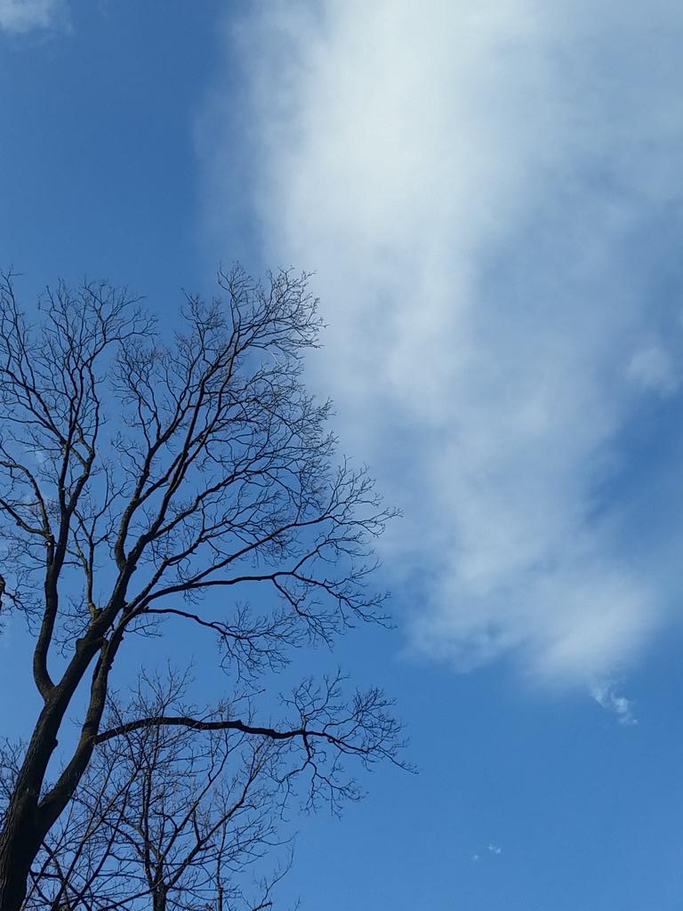 tbeva_'s tweet image. Sunny morning in #innsbruck