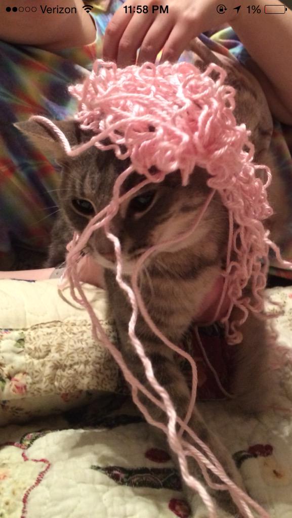 marlieprince97's tweet photo. When your cat is actually Nicki Minaj #KittyMinaj http://t.co/uVRJGajllf