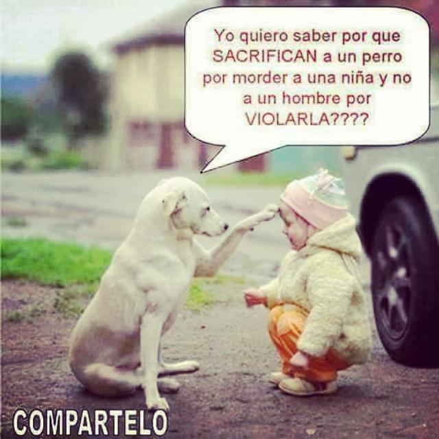 MeriroMm's tweet image. 