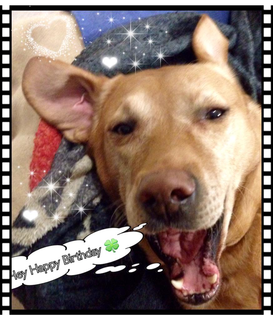 egelmeier's tweet photo. @s7effi19  happy GEburtstag 🍀🐷🍀 http://t.co/1vEprG90vl