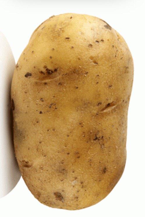 AvgDegenPlayer's tweet photo. That is a @potato .

Follow for Tru Faktz http://t.co/GLOAsvat2A