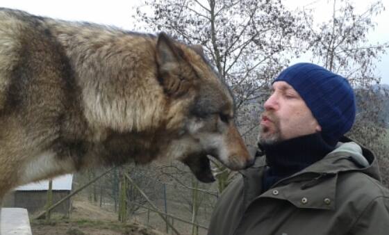 Photobosman tweet picture