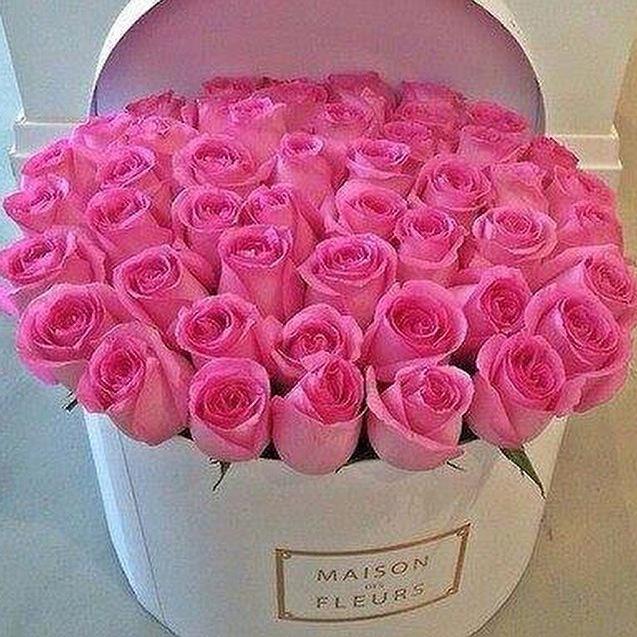 bokender26's tweet photo. أگتب مبآدئگ بـ قلمٍ جآف حيث آلرسوخ و آلثبآت ••  و أگتب آرآئگ بقلمِ رصآص حيث آلتعديل وآلتصحيح !

#صبآح_آلخير 🌺🌺😊 http://t.co/RuFr5IBckD
