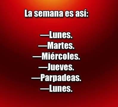 jasevillano's tweet photo. Así es ! http://t.co/msoD6Vcqau