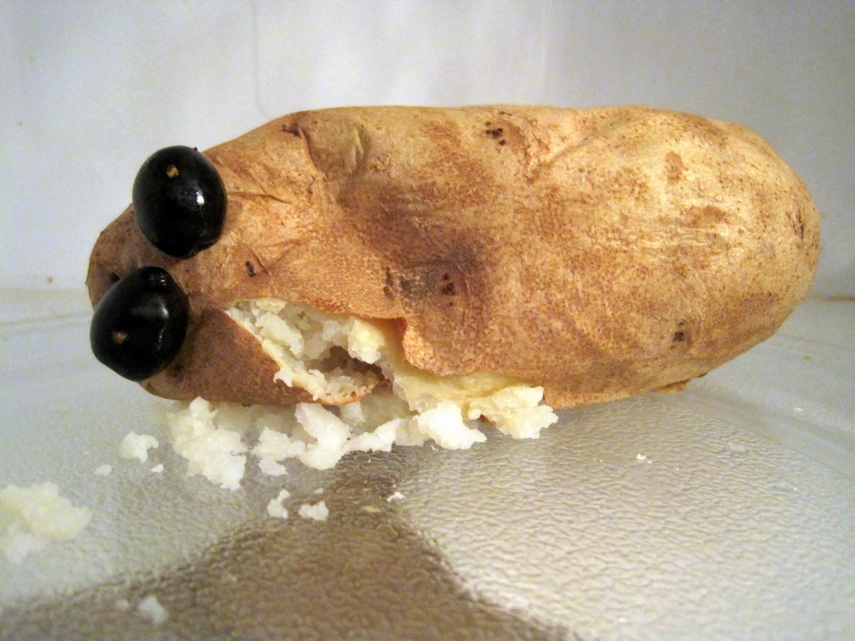 PraisePotato's tweet photo. Drunk #Potato http://t.co/Z0KxoIH1vp