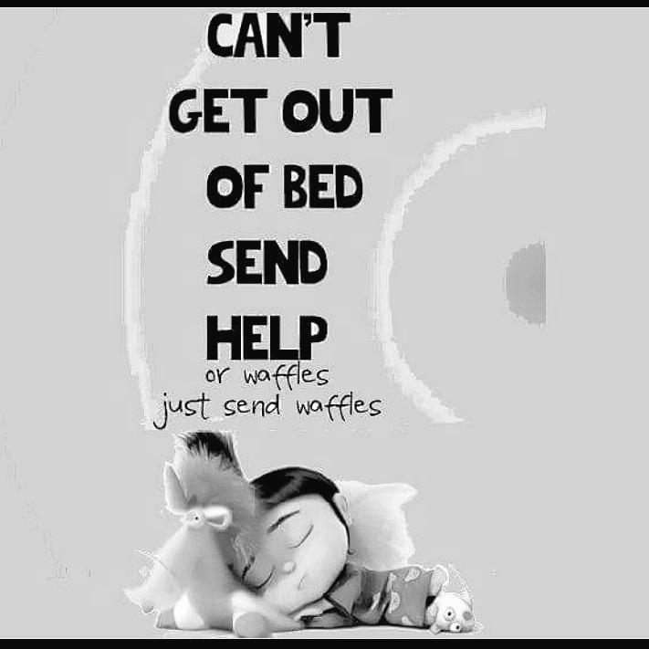 EmGiles83's tweet image. 