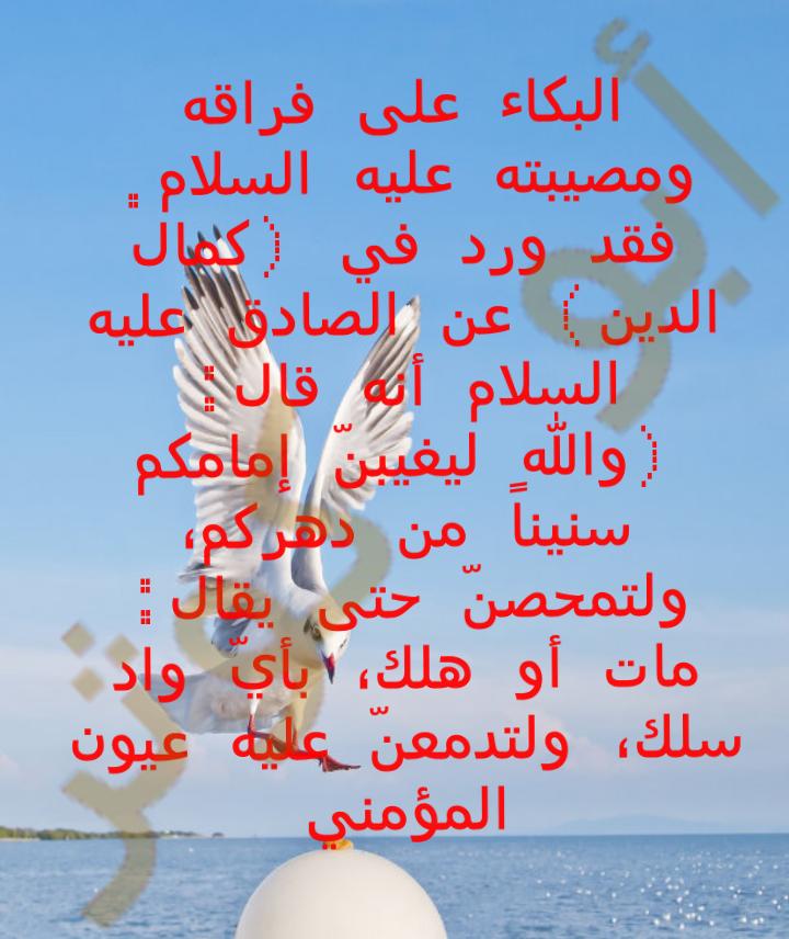 kaizm8's tweet photo. بسم الله الرحمن الرحيم http://t.co/M0aINsa4mO