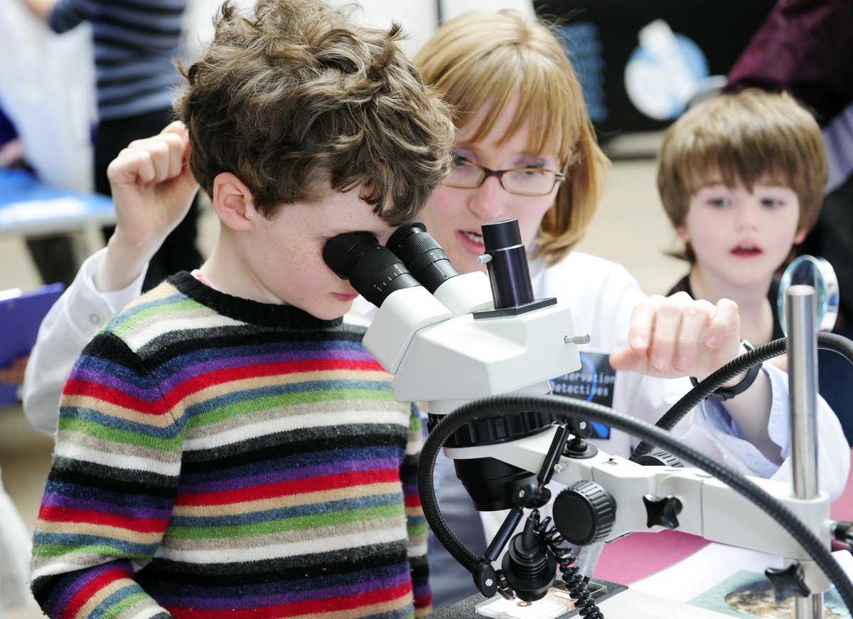 NtlMuseumsScot tweet picture