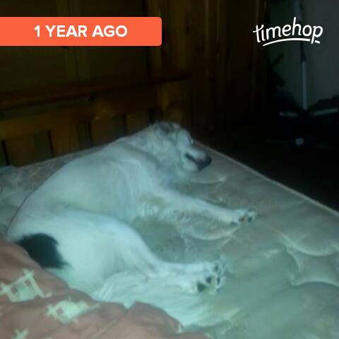 IngallJune's tweet image. 