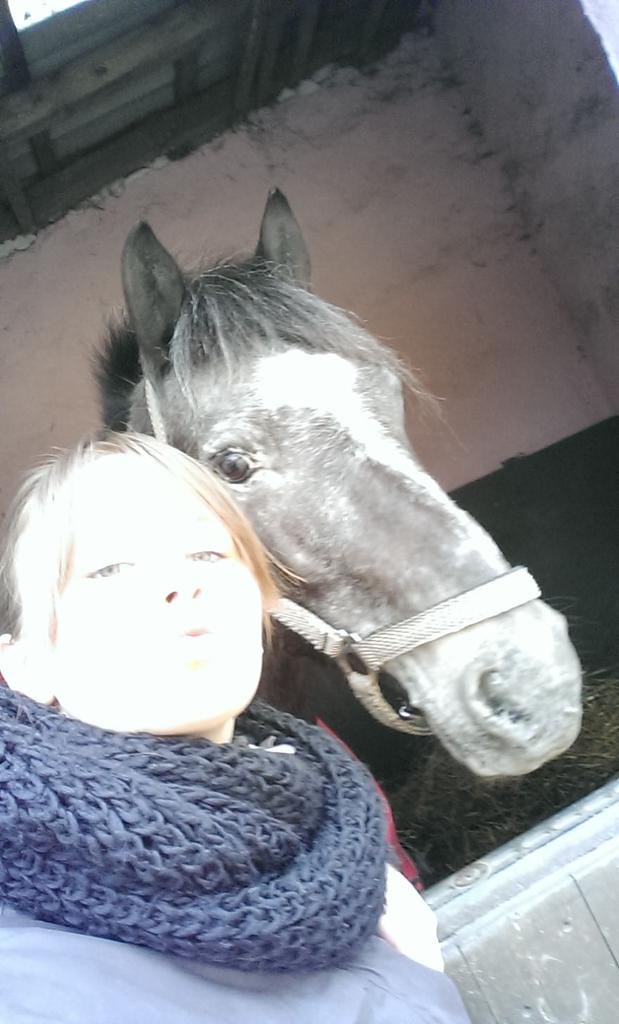 KatjaSpiegel's tweet photo. #horse #girl #reiding #Lama http://t.co/HoQLxDQgXH