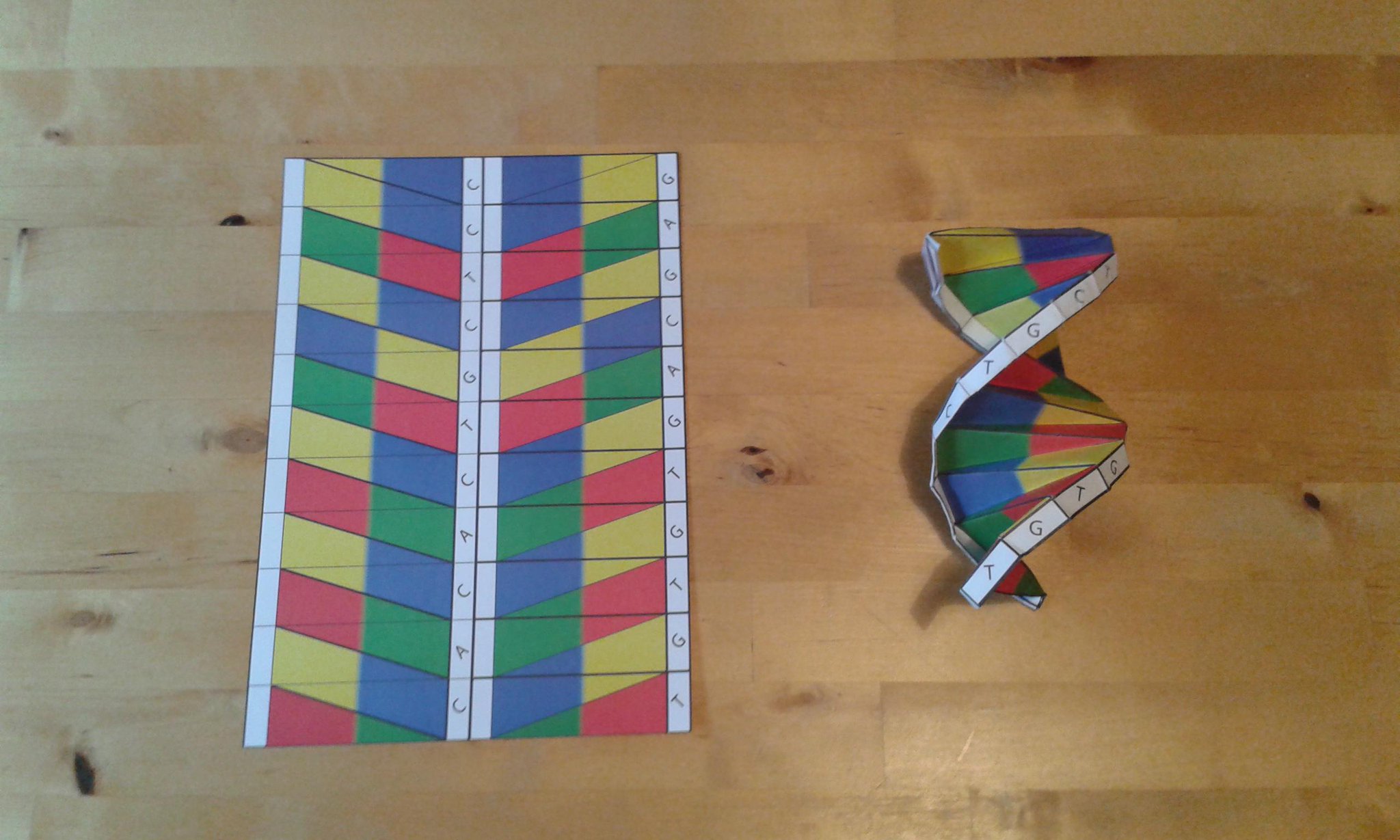 Double helix essay image