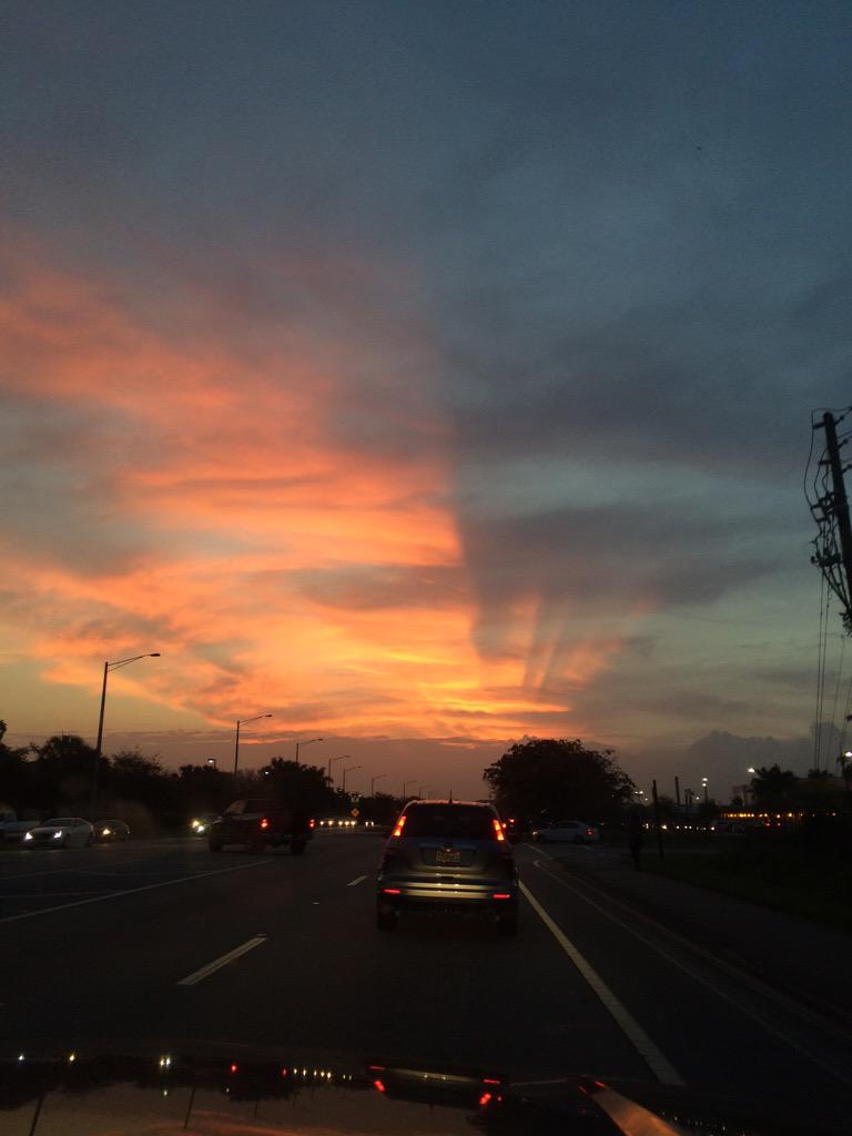 ashweeyg's tweet photo. Good morning angel👼 #resteasyjoey http://t.co/Hsw0Qt12hT