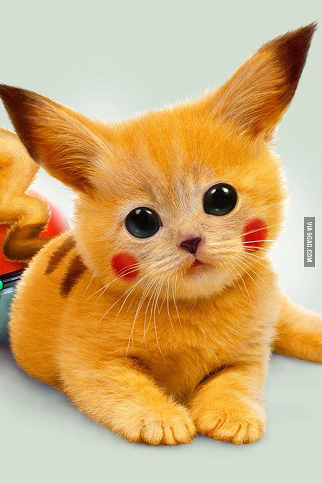 PicsSide's tweet image. Wer könnte dass sein? 
+++|(*_*)|+++