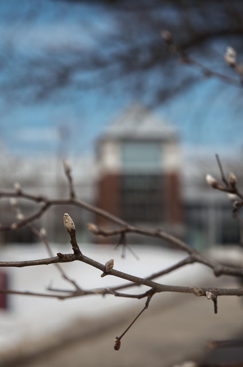 EasternCTStateU's tweet photo. #Springhassprung #SpringIsInTheAir #goodbyewinterhellospring #signsofspring @EasternCTStateU http://t.co/hQFpHaG7RD