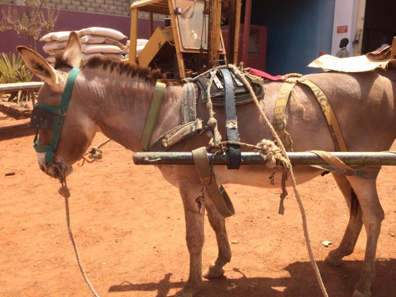 sccdsa's tweet image. My car....!!