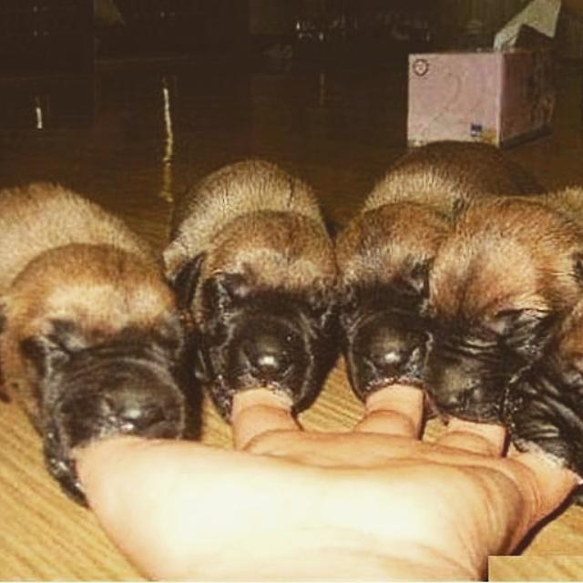 PicsSide's tweet image. Da können sie lange saugen😂😉😉