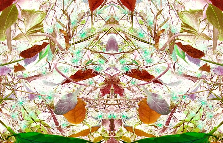 mel_szalkowski's tweet photo. Sounds of #Love within. Images for sale - http://t.co/Wbjx8IVC1P http://t.co/zbAJaAoVSs